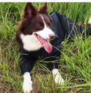 Capa de chuva para cães