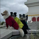 Capa de chuva para cães