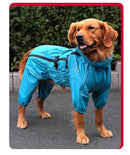 Capa de chuva para cães