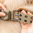 Coleira Militar para cachorros