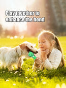 Brinquedo para Mastigar para Cães