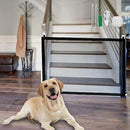 Cerca de proteção e isolamento para cães