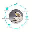 Brinquedo escova de dentes refrescante 3 em 1 para cães