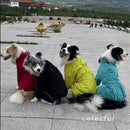 Capa de chuva para cães