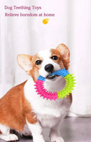 Brinquedo fofo para cães, disco voador para treinamento, anel com espinhos