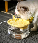 Bebedouro automático para gatos