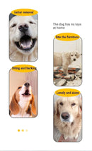 Brinquedo fofo para cães, disco voador para treinamento, anel com espinhos