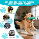 Brinquedo escova de dentes refrescante 3 em 1 para cães