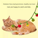 Brinquedo de corda resistente em formato de tomate com sino para gatos